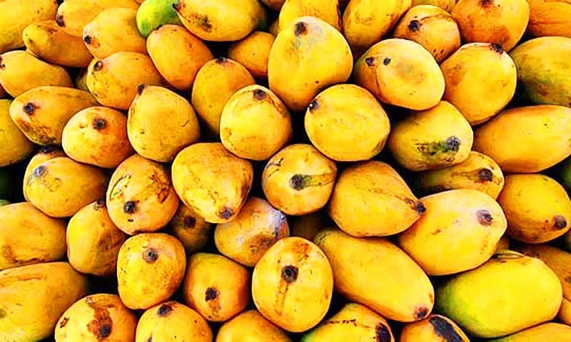 Mangos